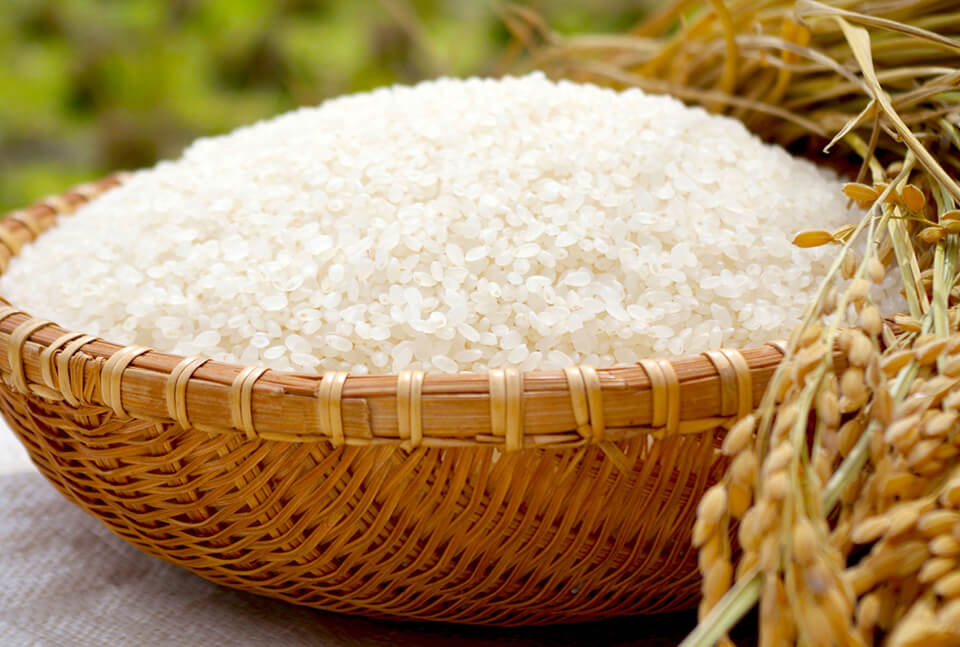 家栽培のお米